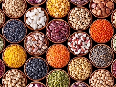 عشرة بروتينات نباتية